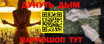 скорость Новодвинск