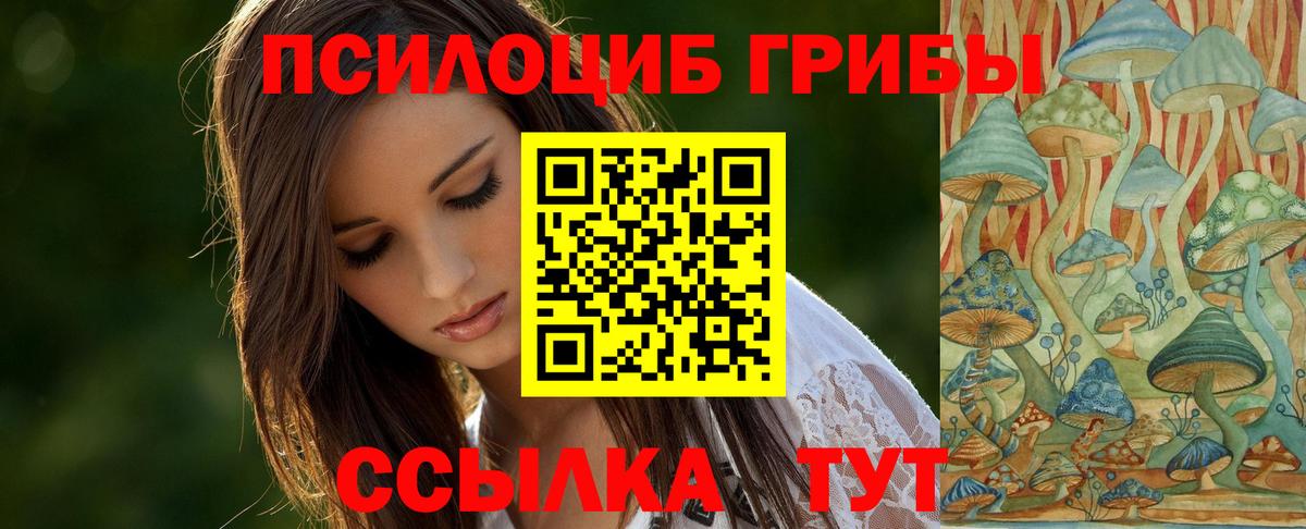 Троицк  Псилоцибиновые грибы MAGIC MUSHROOMS  Вход с VPN 